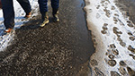 Готовь сани летом