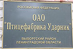 Птицефабрика 